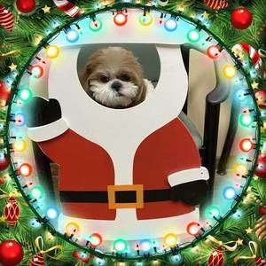 Meet your Posher, Janet